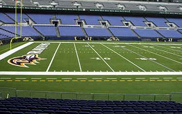 Buy and Sell Baltimore Ravens PSL at Stadium Seat Exchange