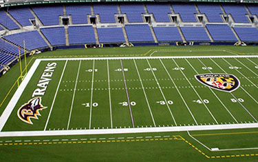 Official Baltimore Ravens PSL Marketplace Buy & Sell PSLs Wait