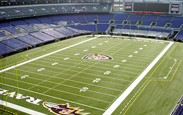 Official Baltimore Ravens PSL Marketplace Buy & Sell PSLs Wait